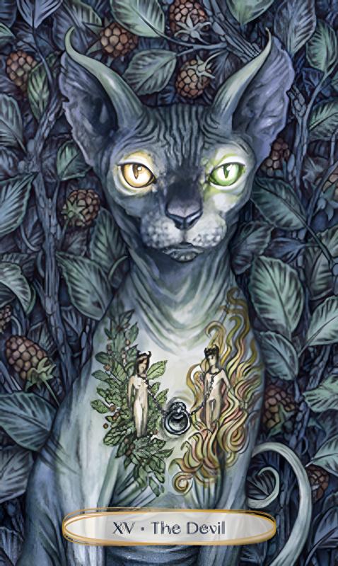 Soul Cats Tarot Cards 2