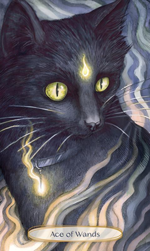 Soul Cats Tarot Cards 3