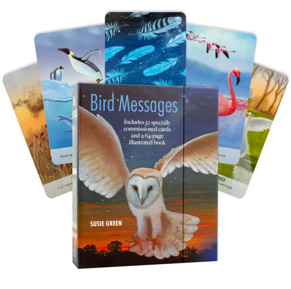 Bird Messages Cards