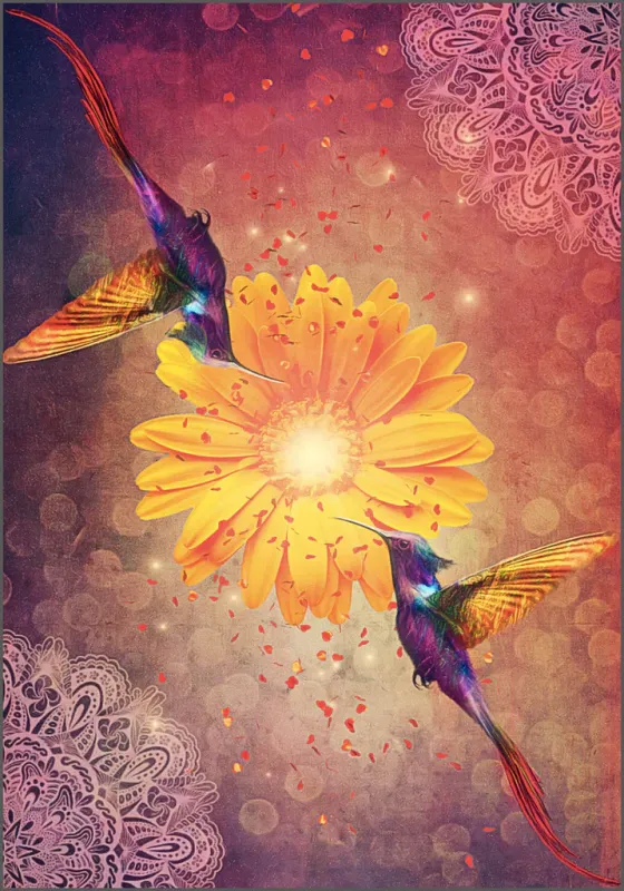 Hummingbird Wisdom Oracle Cards