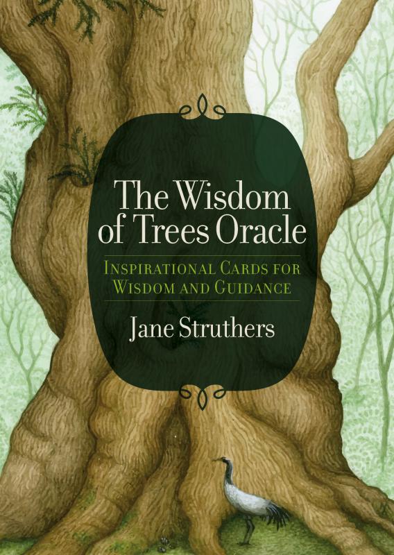 The Wisdom Of Trees Oracle Cards