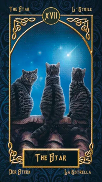 Tarot Familiars Cards