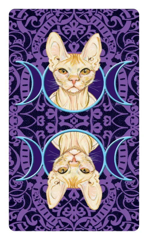 Tarot of the Pagan Cats Mini