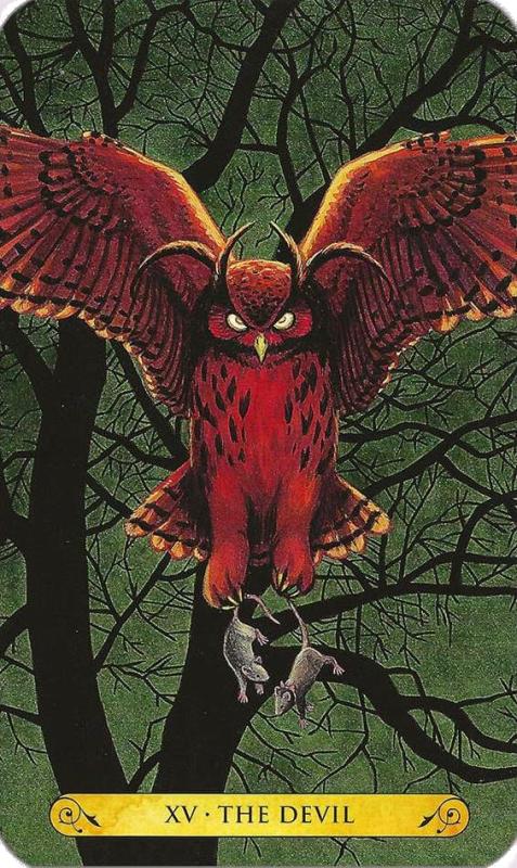 Tarot of the Owls Cards 8