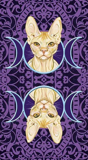 Tarot of the Pagan Cats