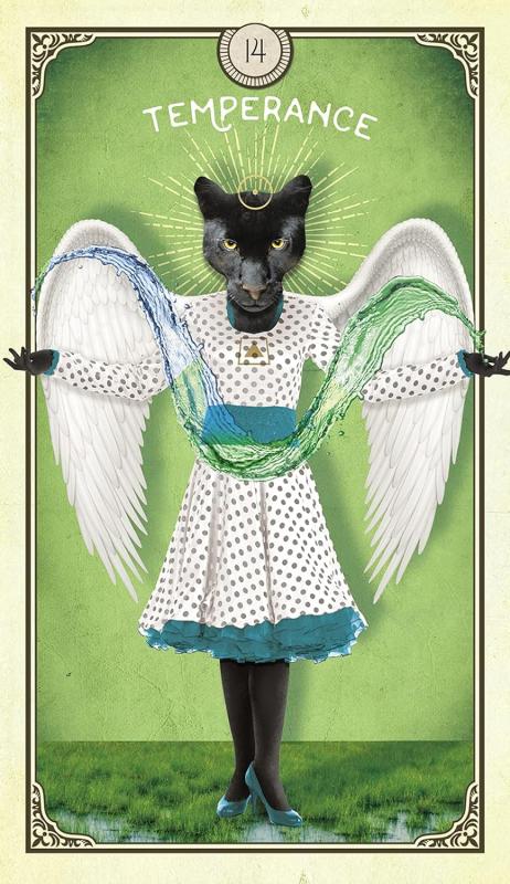 The Tarot of Curious Creatures