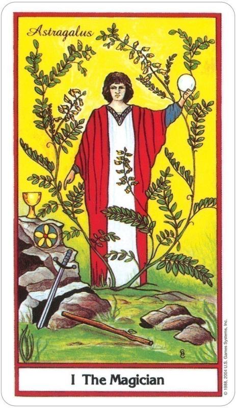 The Herbal Tarot Cards