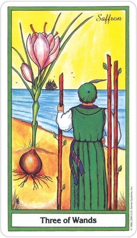 The Herbal Tarot Cards