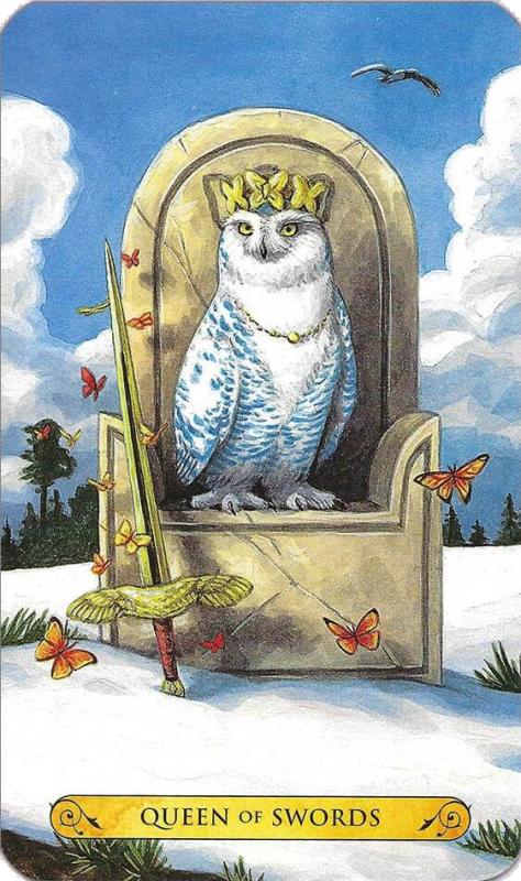 Tarot of the Owls Cards 3