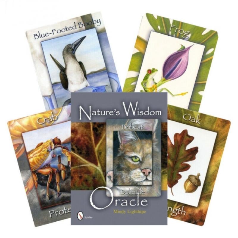 Nature's Wisdom Oracle