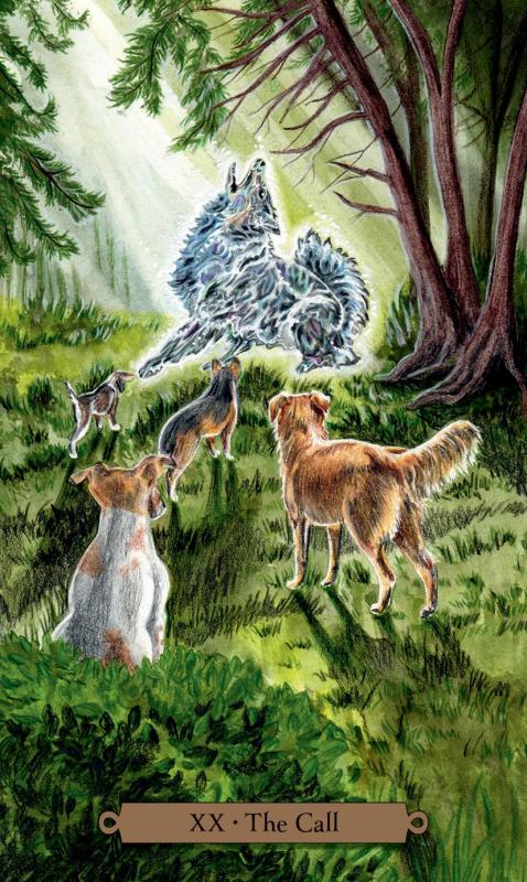 Magical Dogs Tarot Cards 1