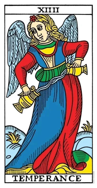 CBD Tarot De Marseille Cards