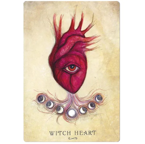 Anatomy of a Witch Oracle Cards 1