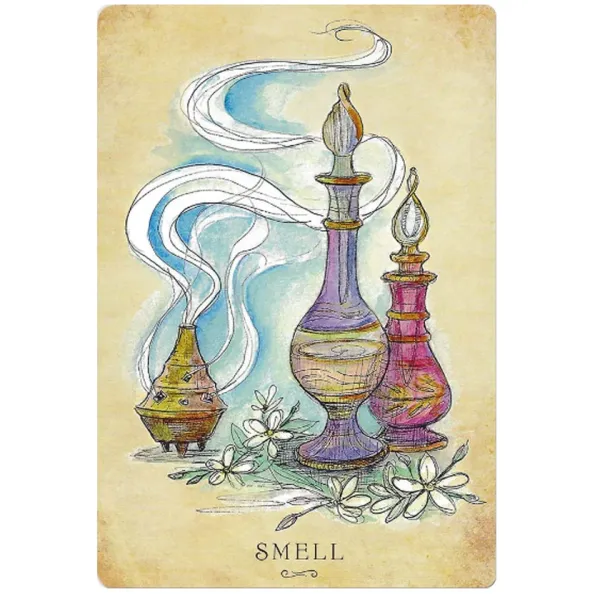 Anatomy of a Witch Oracle Cards 4