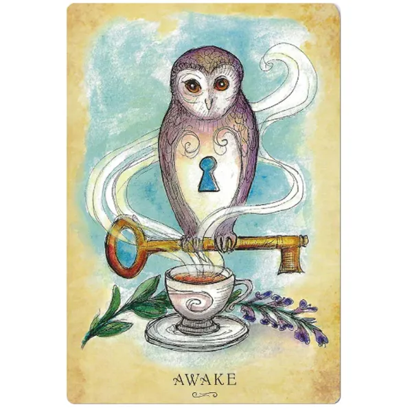 Anatomy of a Witch Oracle Cards 2