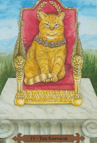 Mystical Cats Tarot Cards 1