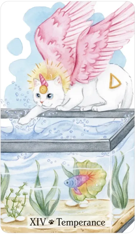 Caticorn Tarot Cards