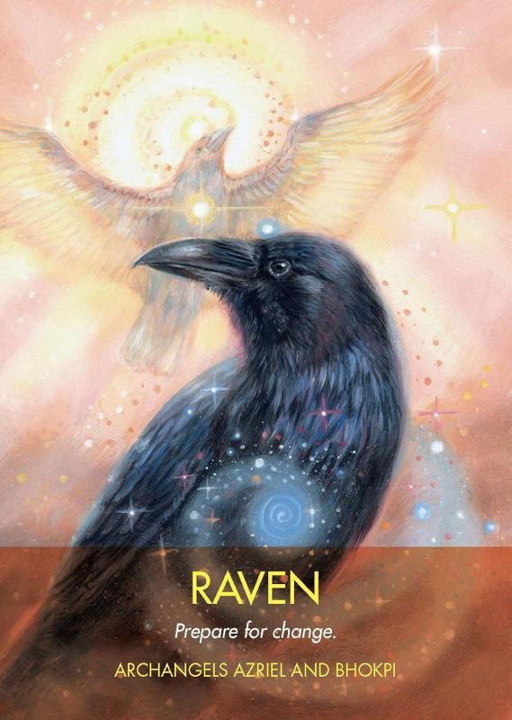 Archangel Animal Oracle Cards