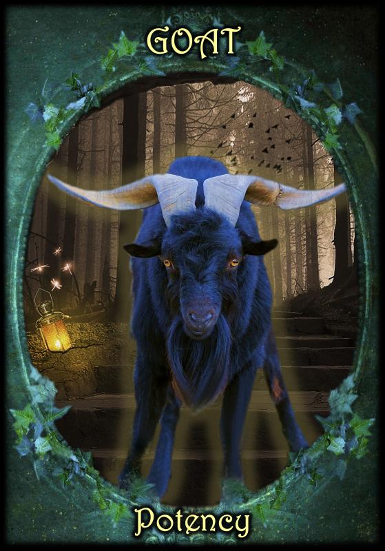 Witches’ Familiars Oracle Cards