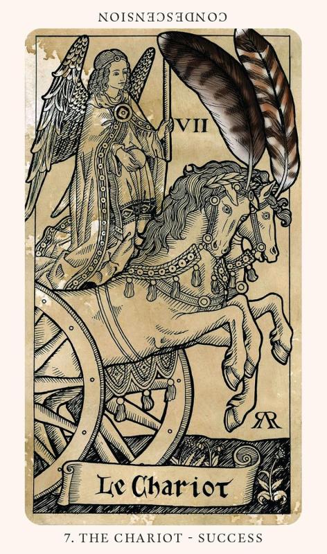 The Medieval Feathers Tarot Cards