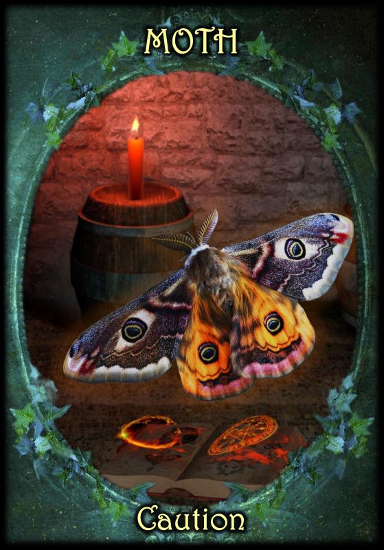 Witches’ Familiars Oracle Cards