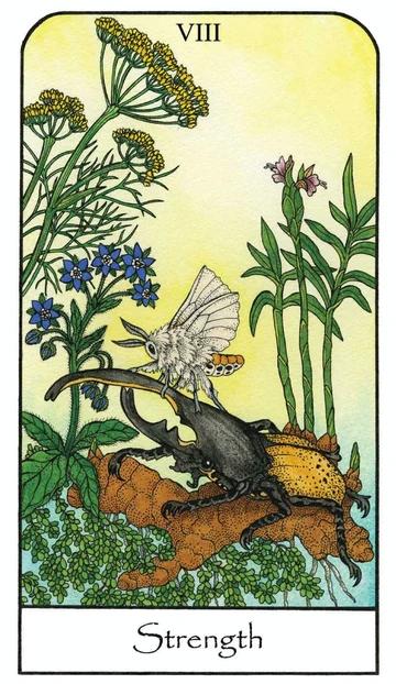 Nature Spirit Tarot