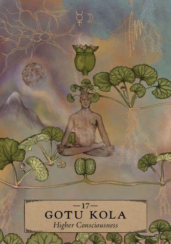 The Herbal Astrology Oracle