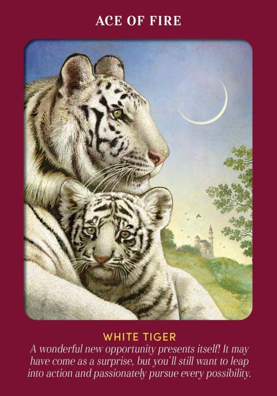 Animal Guides Tarot