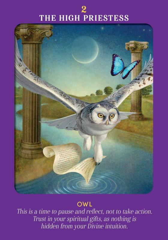 Animal Guides Tarot