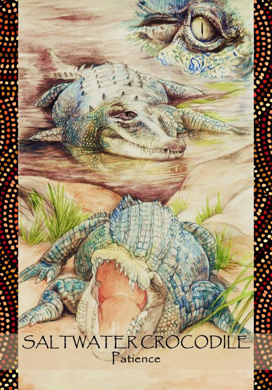 Aboriginal ‘Walkabout’ Oracle Cards