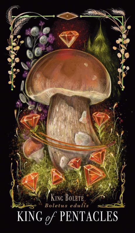 Midnight Magic A Tarot Deck of Mushrooms 5