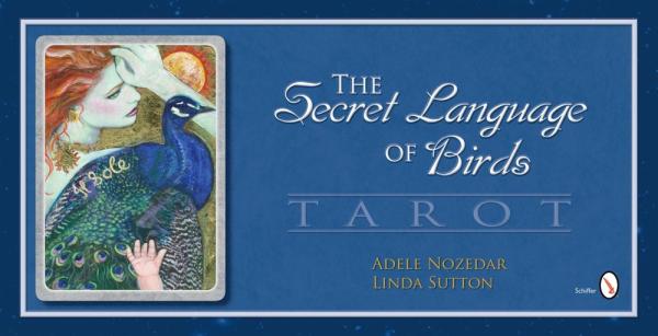 The Secret Language of Birds