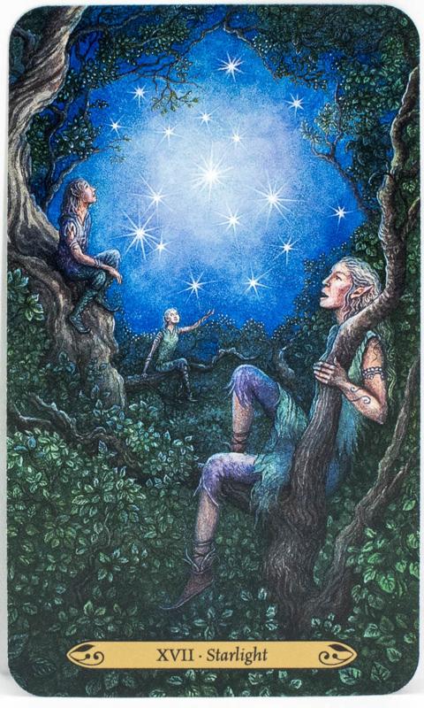 Forest of Enchantment Tarot Cards 2