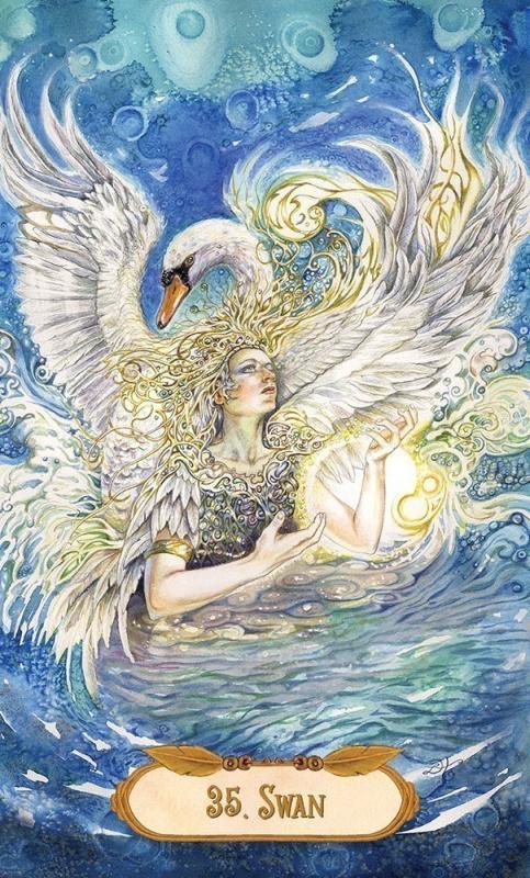 The Winged Enchantment Oracle Cards