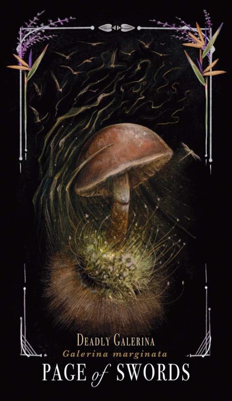 Midnight Magic A Tarot Deck of Mushrooms 6