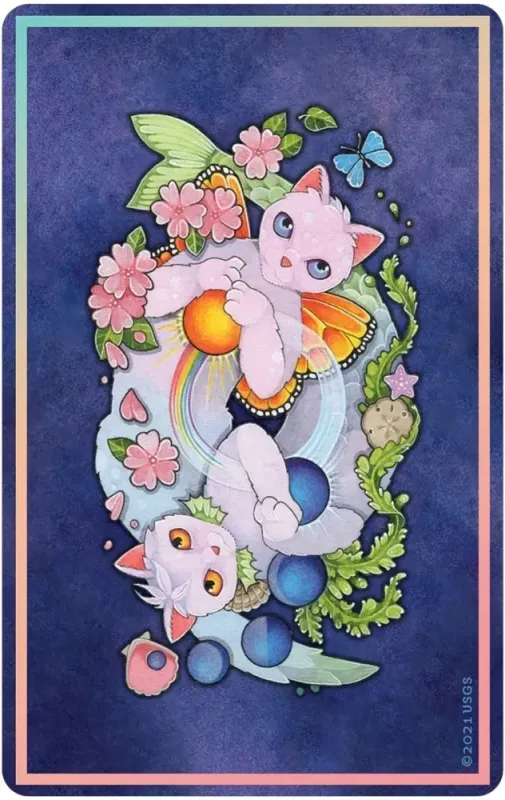 Affirmations of the Fairy Cats Deck and Book Set