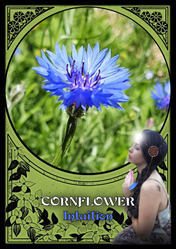 Flower Magic Oracle Cards