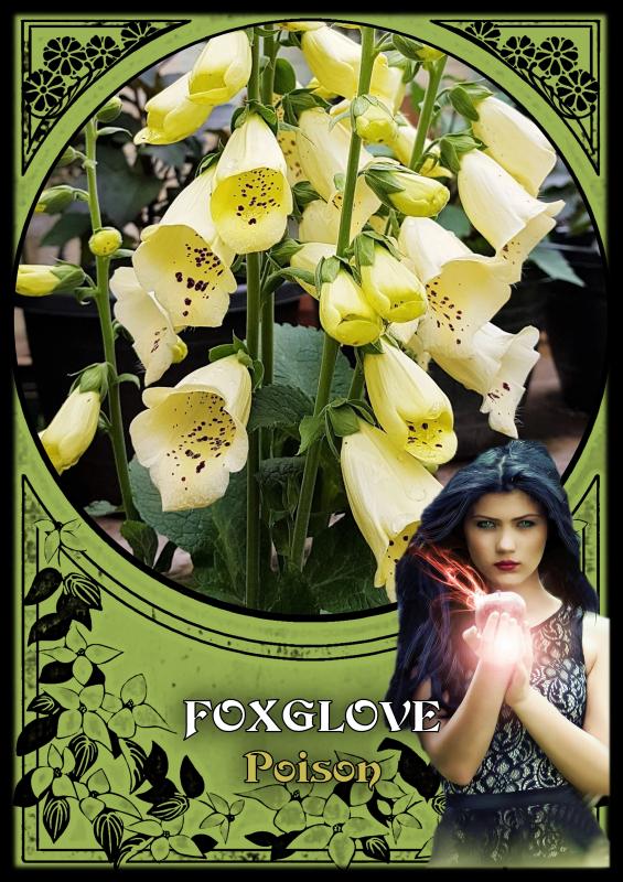 Flower Magic Oracle Cards