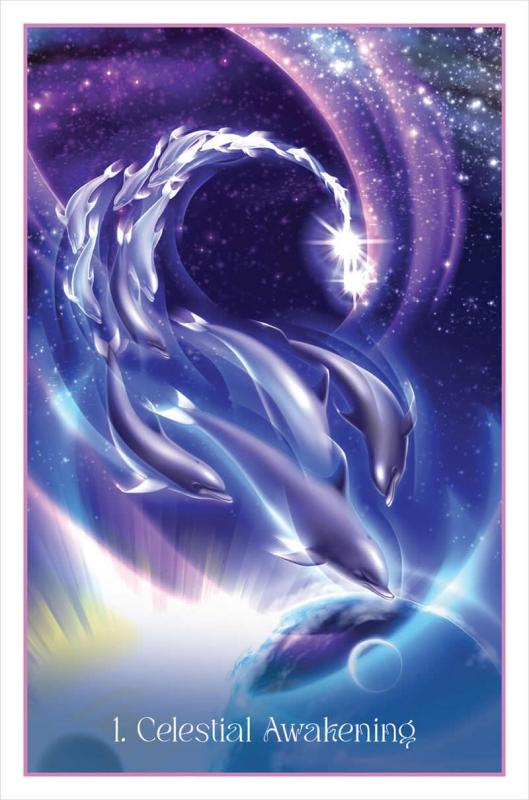 Whispers of the Dolphin Heart Cards 5