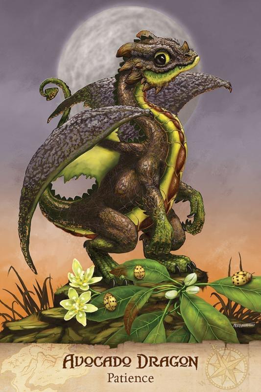 Field Guide To Garden Dragons Tarot Cards