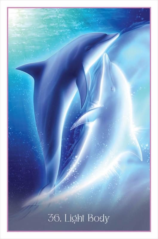 Whispers of the Dolphin Heart Cards 1