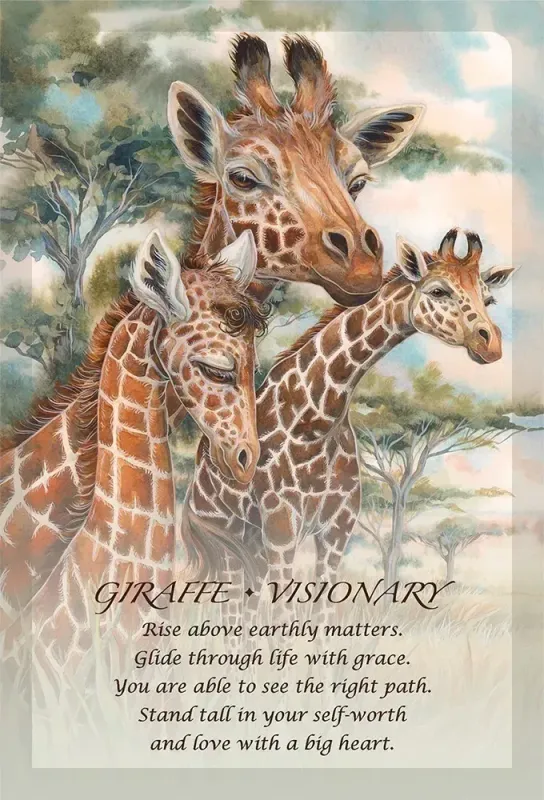 Spirit Of The Animals Oracle Cards