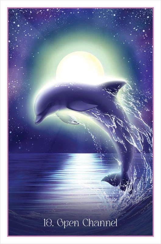 Whispers of the Dolphin Heart Cards 3